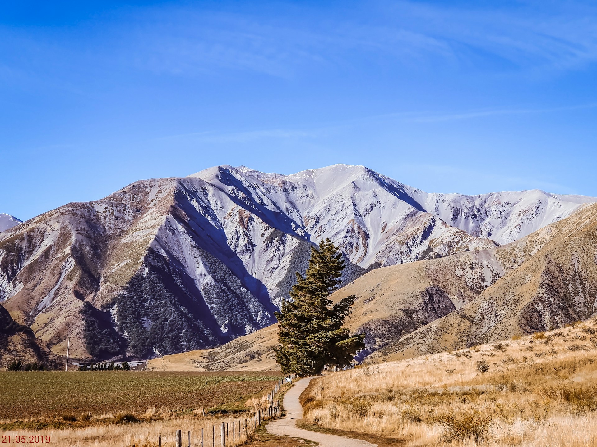 green trees near mountain under blue sky during daytime